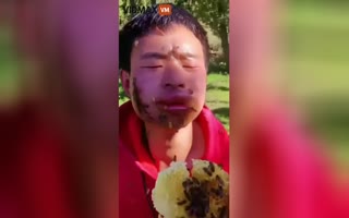 Asian Dude Eats Honey Out Of The Honeycomb As Bees Sting The Hell Out Of His Face