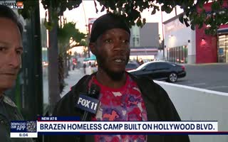 Zero F's Given: Homeless Man Builds A House In The Middle Of Hollywood Boulevard Sidewalk