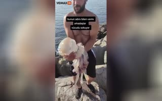Dude Thought It Was A Good Idea To Play With This Giant, Poisonous Jellyfish.....WRONG!