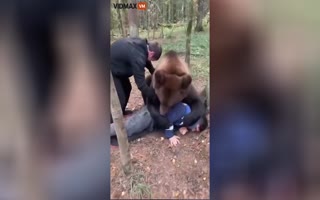3 Russians Wrestle A Giant Bear