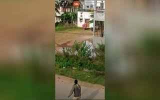 Indian Men Attempt to Chase off a Leopard and just Piss it off Even More