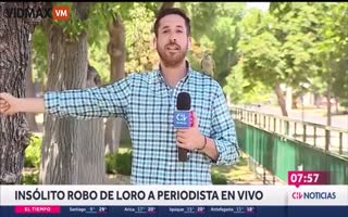 Reporter gets his Airpods Stolen on Live TV, Suspect wearing Green