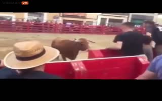 Dude Finds Out The Hard Way, You Mess With The Bull, You Get The Horns