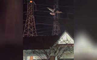 Wild Video Shows Plane That Crashed Into Power Lines And Got Stuck