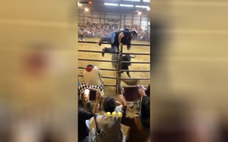 Bull Shows Female Wrangler Equal Rights The Painful Way