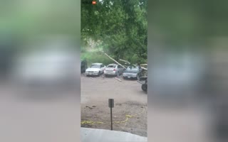 Free Rent for the Next Several YEARS? Landlord Cuts down a Tree on his Tenants Cars by Accident!