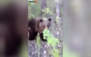 Needless to Say, Playing 'Tag' with a Black Bear is a Bad Idea