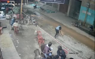 Man Nearly Loses his Manhood After a Wild Dog Snaps at Him Walking up the Street