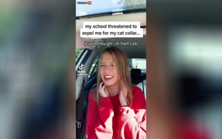 High School Chick, Who Thinks She's A Cat, Freaks Out When Told To Take Her Cat Collar Off