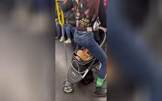 People Now Go to NYC just to 'Crazy Spot' People on the Train, this one Didn't Disappoint