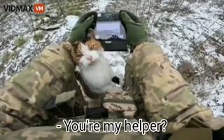 LOL! Russian Operation 'Calico Cutie' is 'Great Success' - Ukrainian Drone Operator Interrupted by a Cute Cat