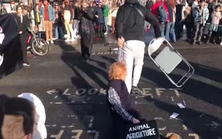 Animal 'Rebellion' Activists Get Tossed Like Ragdolls by Drivers, Cops Arrest the People Tossing them Instead