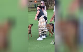 Entire SMALL Dog Park Turns on a Lady and Her HUGE Dog that Attacked 5 Small Dogs, She Does the Same to People