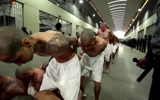 El Salvador Begins Moving Thousands of Gang Members To New Mega-Prison That Will House 40k Of Them
