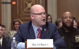 'Triggering this GOP Loser' Democrat Ground Troop, Teamster Union Leader Berates a Sitting US Senator During a Congressional Hearing