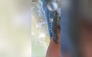 Gator Latches Onto Dude's Arm While Fishing