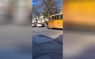 Chaos Erupts, School Bus Packed with Kids Slams Into a Tree, Suspect Attempts to Flee As Cops Pursue