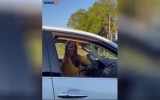 WTF?! Crazy Woman Repeatedly Attempts to Attack a Guy Driving up the Street, Threatens to Shoot Him