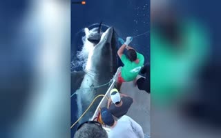HOLY CRAP! Great White Shark Just Used this Guys Catch of the Day as a Snack