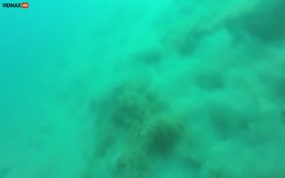 Cool Video Captures Scuba Divers Witnessing an Earthquake Near the Ocean Floor