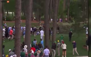 15th Hole of Death? Trees Fall Inches from Spectators During a Golf Tournament in Augusta