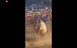 OMG! Bull Rider Gets KO'd Whilst Stuck On the Saddle, Bull Has Him Flailing Like a Car Lot Blow Up