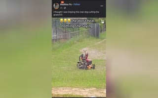 Man Talking to His Girlfriend on the Phone Stops Because a Dog is Riding the Mower Cutting the Grass