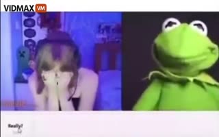 [NSFW] Omegle Chat With a Girl Who Loves Kermit Takes an Inappropriate Turn South, Destroys the Poor Girls Soul