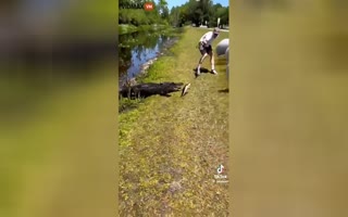 Fishing In Georgia with your Back Turned to the River Almost Ends by Crocodile, Man Barely Moves from a Croc Attack