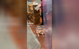 Popeye's Employee Loses His Mind and Destroys the Store After Not Being Paid for An Entire Month