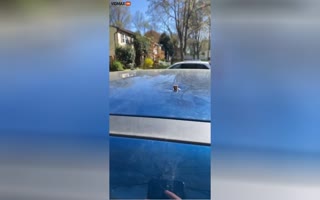UNREAL Moment a Mother Spots a Bullet Lodged in the Top of Her Roof, Most Likely From People Shooting into the Sky