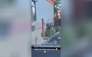 Heartwarming Video Shows a Trash Panda Showing Up for His Morning Dunkin Donuts in the Drive-Thru