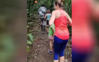 Family Walking Through the Jungle Reveals They've Been Hunted by a Cougar Ready to Attack