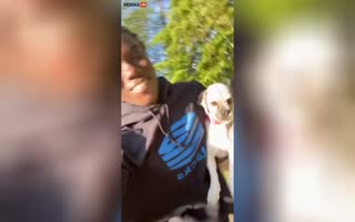 The Punk Who Posted Viral Videos Of He And Friends Walking Into Random People's Homes Also Stole A Dog From An Elderly Lady