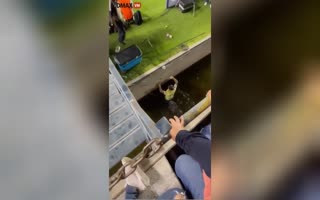 Guy Trying to Jump Onto a Soccer Field Ends in a Mote of Embarrassment