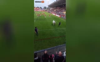Bringing a Bull To a Soccer Game Where the Players Are Wearing Red Shirts Was a Terrible Idea!