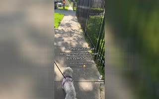 Bystander Walking His Dog Steps In to Shield a Woman Being Crept On By this Weirdo