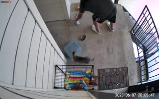GrubHub Food Delivery Driver Caught on Camera Stealing a Kitten During a Dropoff