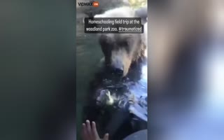 Kids Terrified After a Trip To the Zoo Shows Nature In Its Realest Form - Bear Munches on a Baby Chick