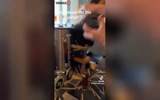 Gay Guy Has a Public Meltdown at Starbucks, Attacks Employees Whilst Destroying the Store