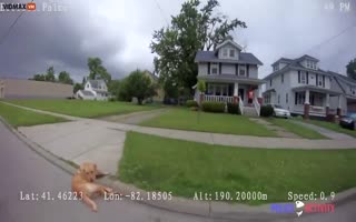 Cop Puts Numerous Shots Into a Playful Dog Even As It Runs Away, Cop Shows ZERO Empathy to the Family