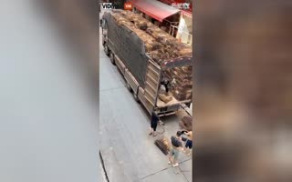 SICKENING! Heartbreaking Video from China Shows Crying Dogs Caged Headed for a Butcher