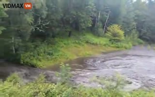 Massive Beaver Dam in Vermont Collapses After Heavy Rainfall, Transforming Yard Into a Pond