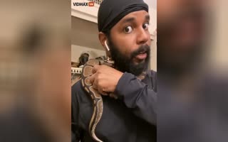 Dude Tries To Feed His Pet Snake A Mouse, Snake Decides To Chomp On His Face Instead