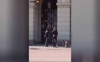 Man Tries To Take On 3 Royal Guards In Front Of The Palace In Oslo