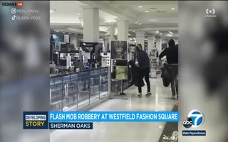 Massive Flash Mob Smash And Grab At Macy's Caught On Video In Lost Angeles