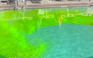 New Jersey Businessman Drone-Bombs Local Swimming Pools With Dye