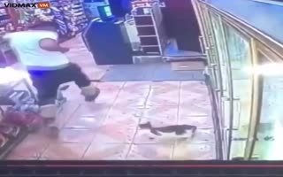 Dude Uses A Kitty Cat As An Excuse To Steal A Beer