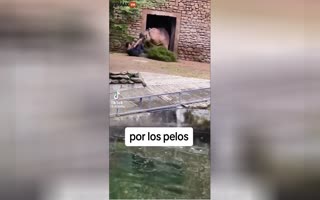 Zookeeper Nearly Gets Gobbled Up By Aggressive Hippo