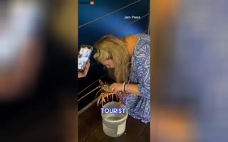 Woman Buys 200 Dollar Lobster At Italian Restaurant Only To Toss It Into The Ocean
